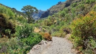 2023-04-GranCan-Guayadeque-050.jpg